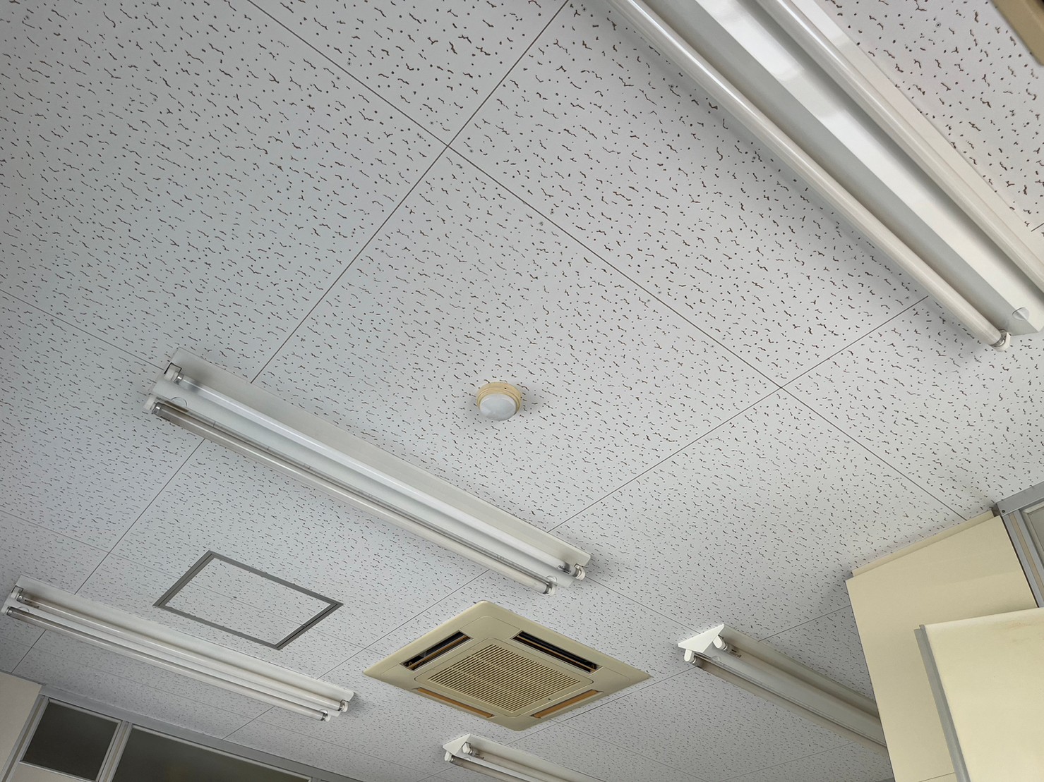 京都市伏見区テナント天井現状