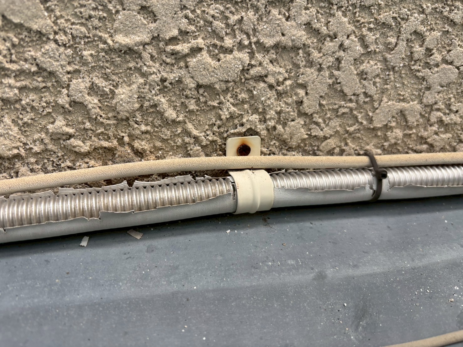 京都伏見区正木建装の西京区での外壁現状調査