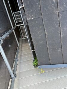 雨トユが詰まって雑草が生えている