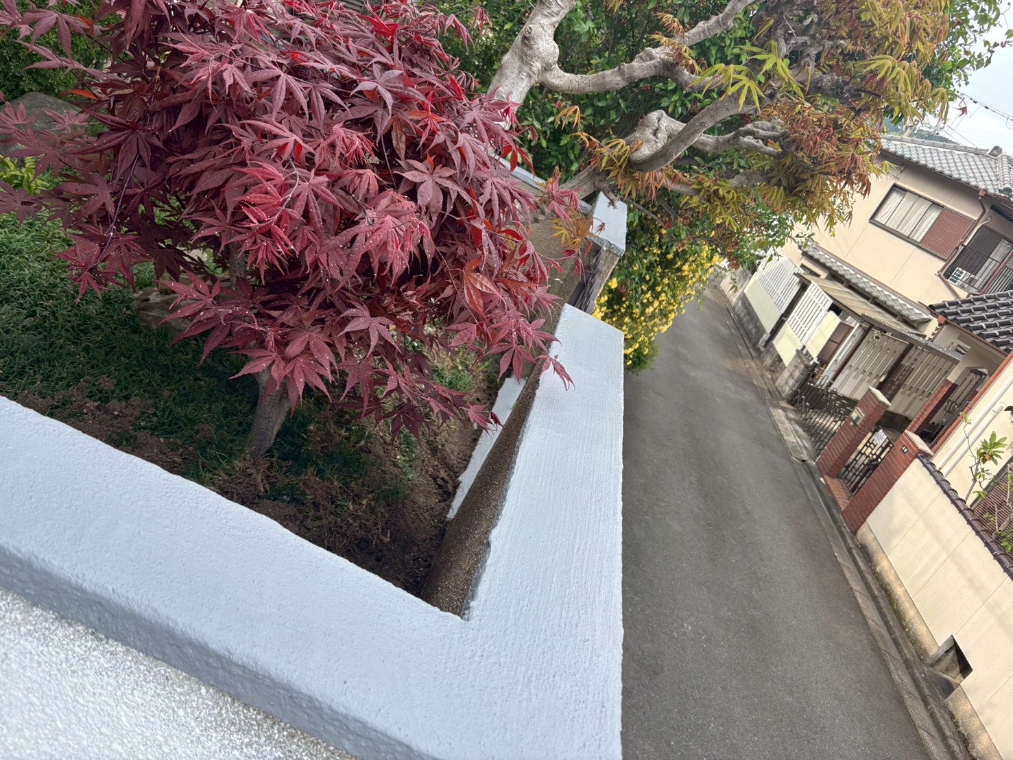 高槻市 ブロック塀 天端水性防水中塗り1回目